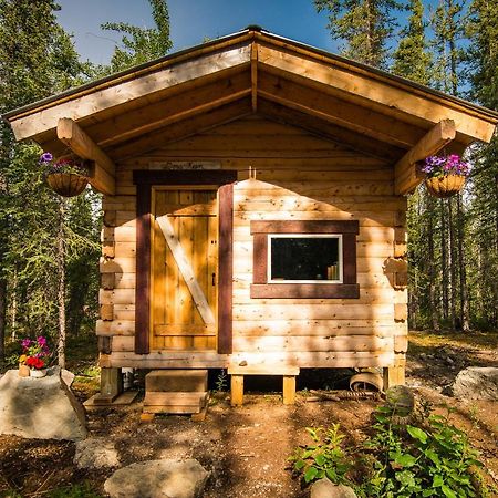 Blackburn Cabins - Mccarthy, Alaska Экстерьер фото