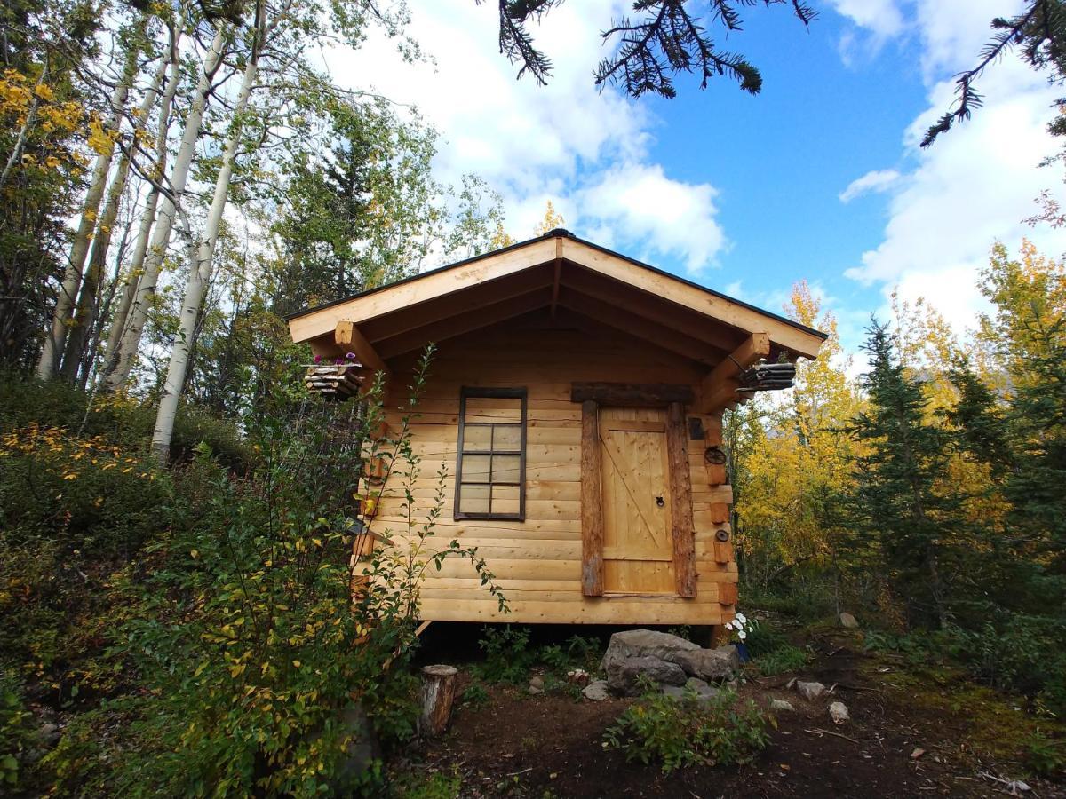 Blackburn Cabins - Mccarthy, Alaska Экстерьер фото